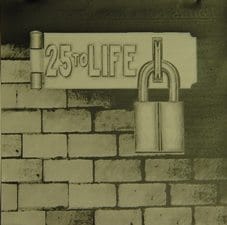 25 to Life DVD